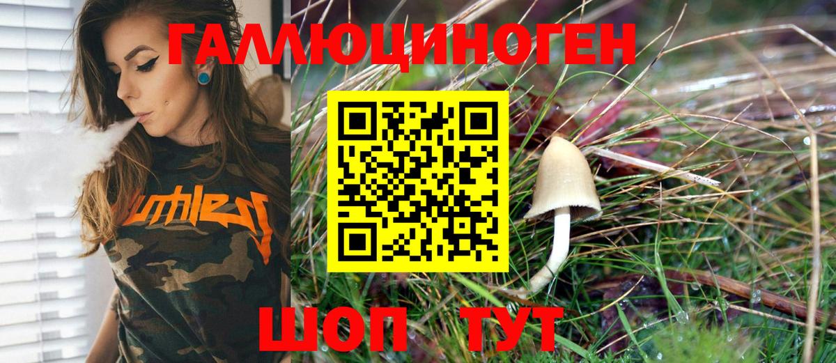 Кувандык  Галлюциногенные грибы MAGIC MUSHROOMS  Вход с VPN 